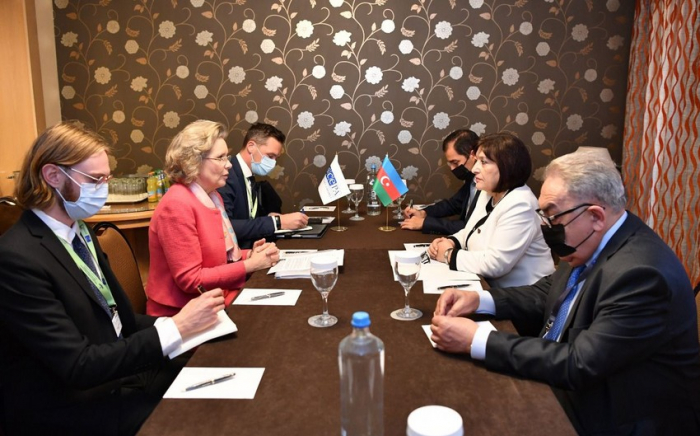   Presidenta de la Asamblea Parlamentaria de la OSCE  : "Concedemos gran importancia a la cooperación con Azerbaiyán" 