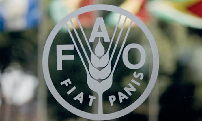 Azerbaijan extends program of cooperation with FAO