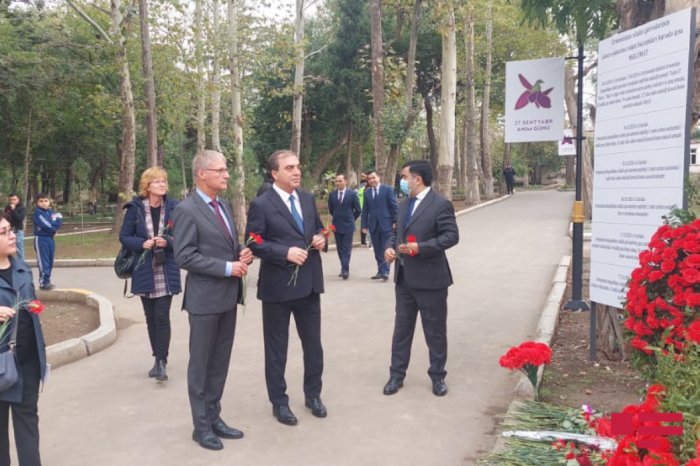    Almaniyalı həkimlər Gəncədə ermənilərin bombaladığı yerlərə baş çəkiblər   