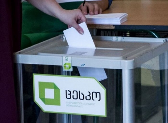 Gürcüstanda seçici fəallığı 49,09 % təşkil edib