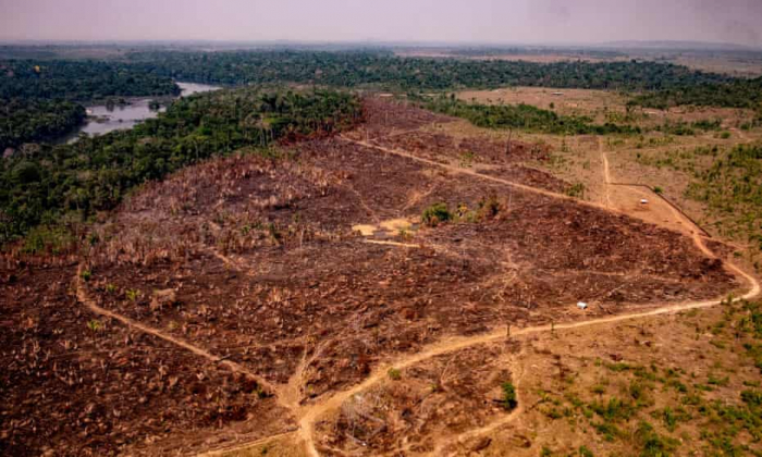 World leaders promise to end deforestation by 2030