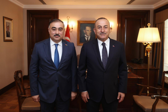 Cavusoglu meets Azerbaijani Ambassador to Turkey