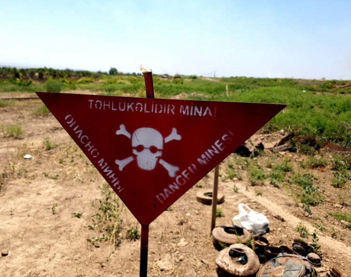   Azerbaijan neutralizes 316 mines in liberated territories  