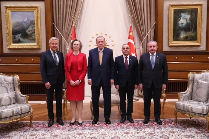   OSZE-PA und Delegation treffen sich mit Erdogan   - FOTO    