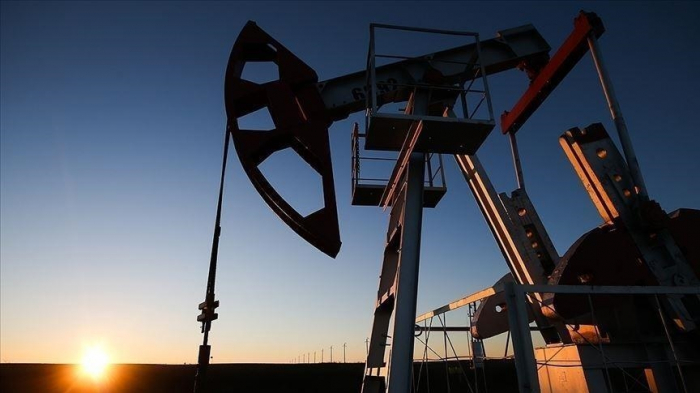 Oil prices rise on world markets 