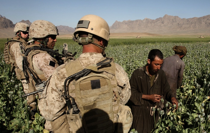  The Narco-Terrorist Taliban -  OPINION  