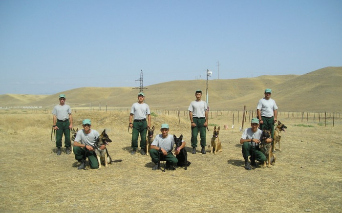 Estados Unidos enviará otros 30 perros detectores de minas a Azerbaiyán