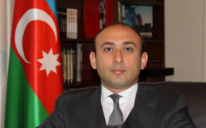  "Azerbaijan strives to ensure peace" - Ambassador 