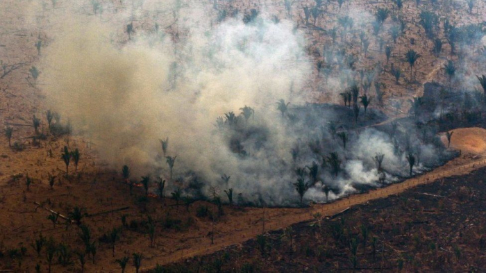 Amazon sees worst deforestation levels in 15 years