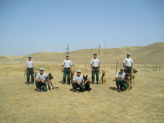   USA liefern 30 weitere Minensuchhunde an Aserbaidschan  