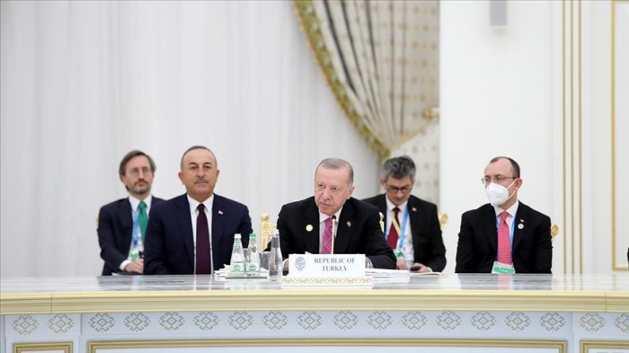  Erdogan calls ECO states to build close relations with Azerbaijan
