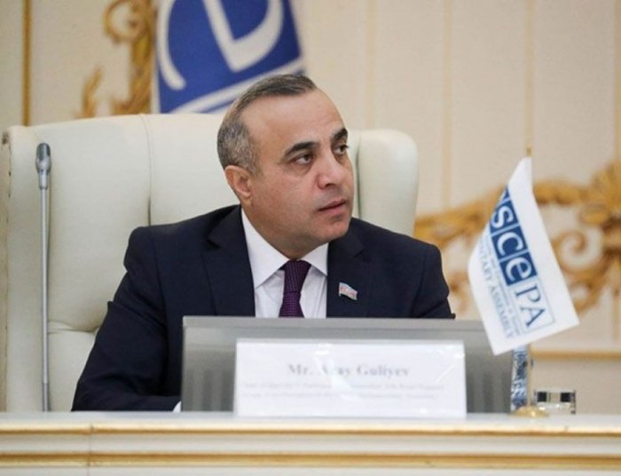 Milli Məclisin deputatı İsveçə gedəcək