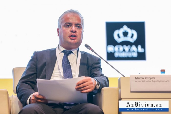  "İnvestorları "Ağıllı kənd" ə dəvət edirik" -    Agentlik sədri      