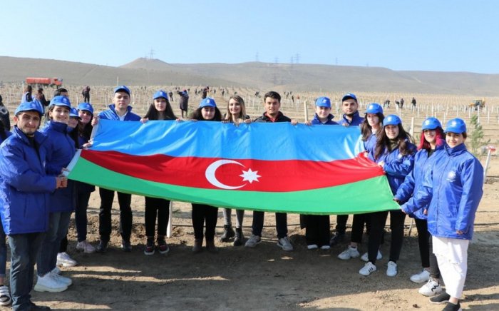 Xocasən gölü ətrafında ağacəkmə aksiyası keçirilib  
