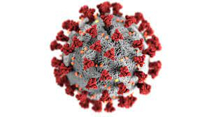    Koronavirusun yeni ştammı  Omikron adlandırıldı   