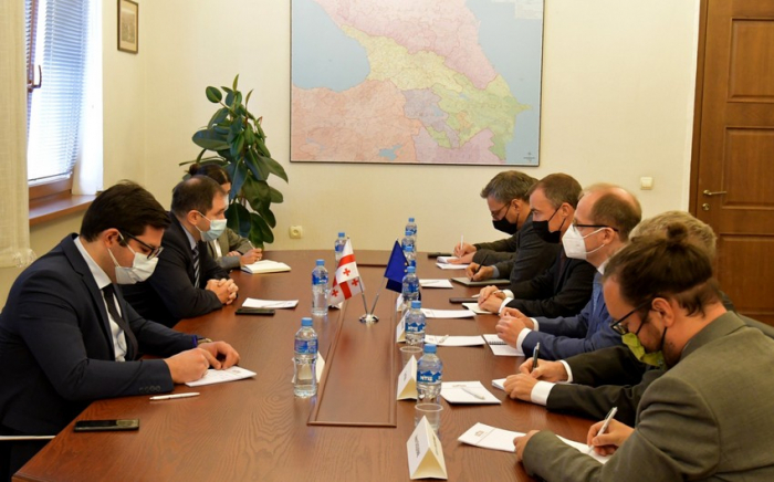 Georgian MP, EU envoy discuss situaton on Azerbaijani-Armenian border