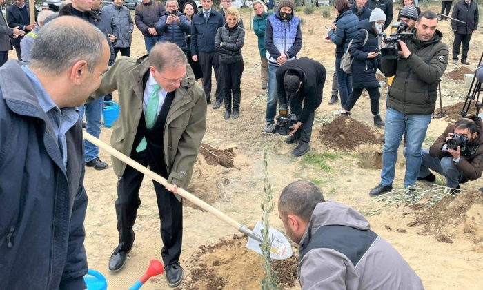 US embassy in Azerbaijan donates trees in honor of local staff