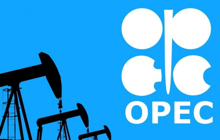 OPEC can elect new secretary general in January 2022: source