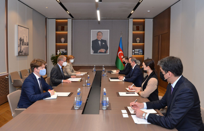  Azerbaijani FM meets with German ambassador 