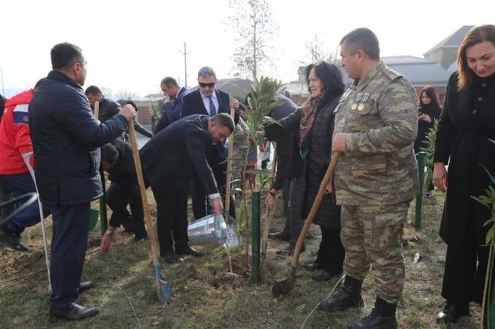 Vətən müharibəsi şəhidlərinin xatirəsinə həsr edilmiş ağacəkmə aksiyası keçirilib  
