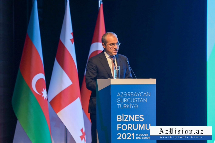   "Azerbaiyán es uno de los mayores inversores en Georgia" -   Mikayil Jabbarov    