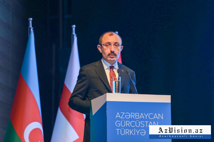   "Las inversiones turcas en Azerbaiyán alcanzan los 12.000 millones de dólares" -   Mehmet Mus    