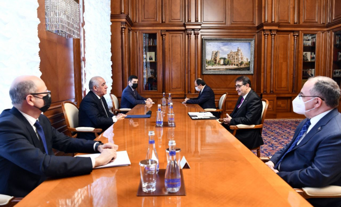 Azerbaijani PM meets with Turkish minister of energy