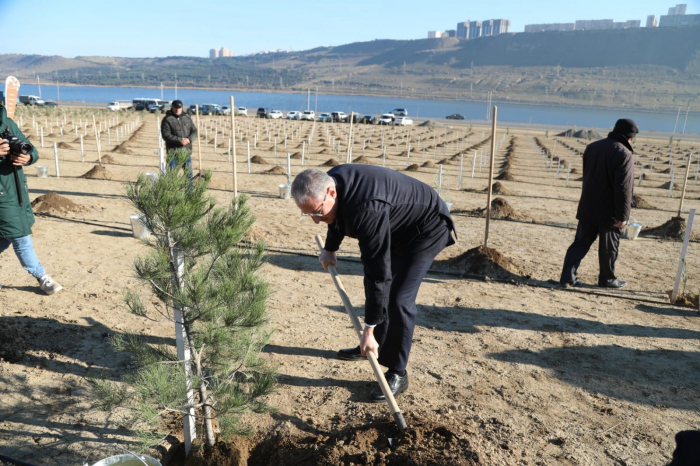 Tree planting campaign held in Baku dedicated to birthday anniversary of President Aliyev