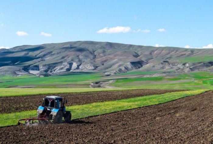 Azərbaycanda əkin subsidiyaların əhatə dairəsi genişləndirilib  
