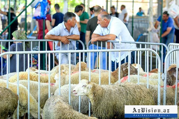 Gələn ilin Qurban bayramının tarixi bəlli oldu