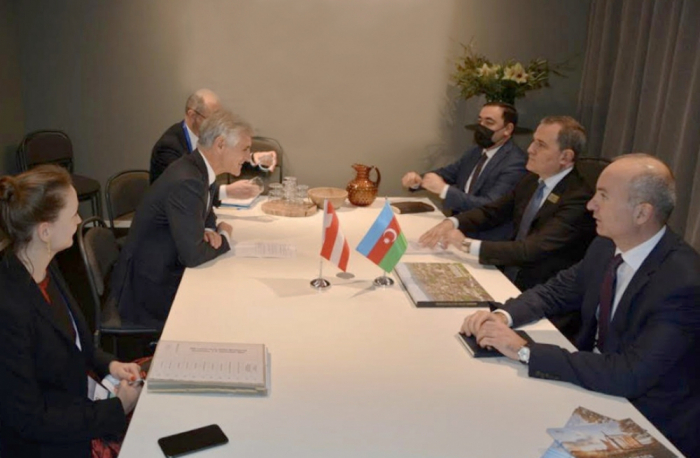 Azerbaijan’s foreign minister meets with Austrian counterpart