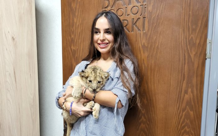 Bakı Zooparkında şir balası dünyaya gəlib  
