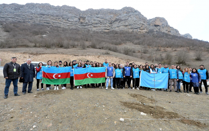 Şuşada kütləvi ağacəkmə aksiyası keçirilib