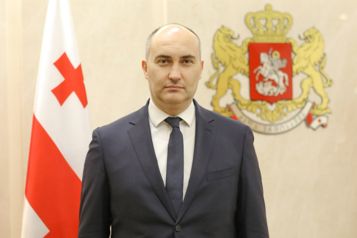 Georgian defense minister arrives in Baku