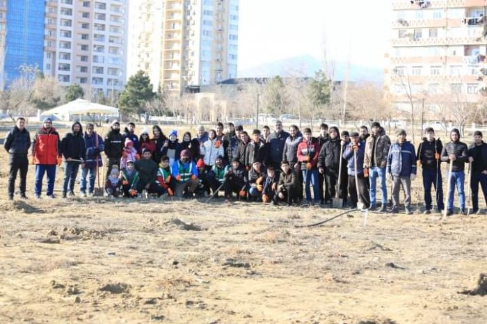 Sahil parkında 500 ağac əkilib