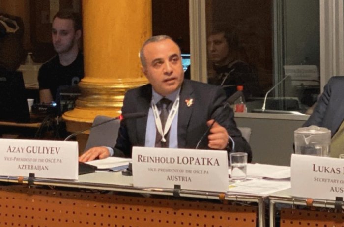 Azay Quliyev ATƏT PA-nın iclasında Türkiyəni müdafiə etdi
