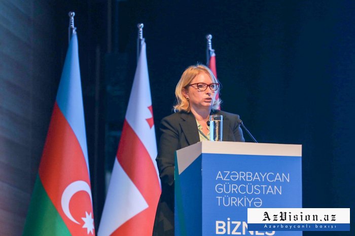 "Qonşuluq əlaqələrimiz bundan sonra da üst səviyyədə olacaq" -    Gürcü nazir    
