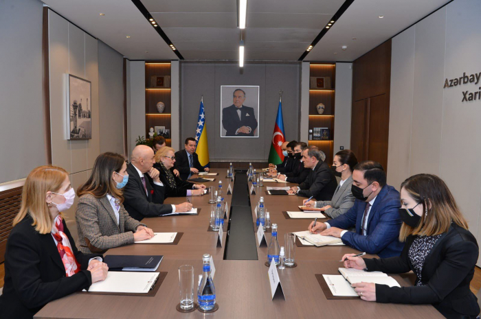  FMs of Azerbaijan, Bosnia and Herzegovina hold expanded meeting 