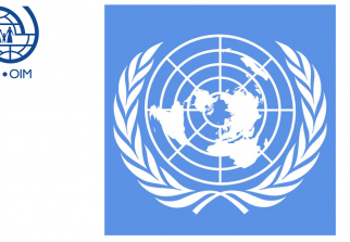   Les Nations Unies demandent 41 milliards de dollars pour fournir une aide d