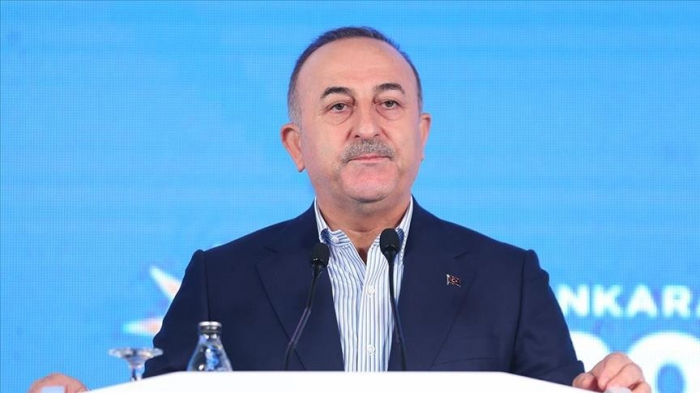 Turkiye to help Kazakhstan restore peace, stability: FM 