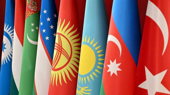   Organization of Turkic States holds online meeting on situation in Kazakhstan   