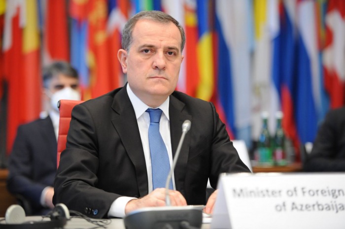  Azerbaijani FM rejects unfounded allegations of Armenian representative at OSCE meeting 