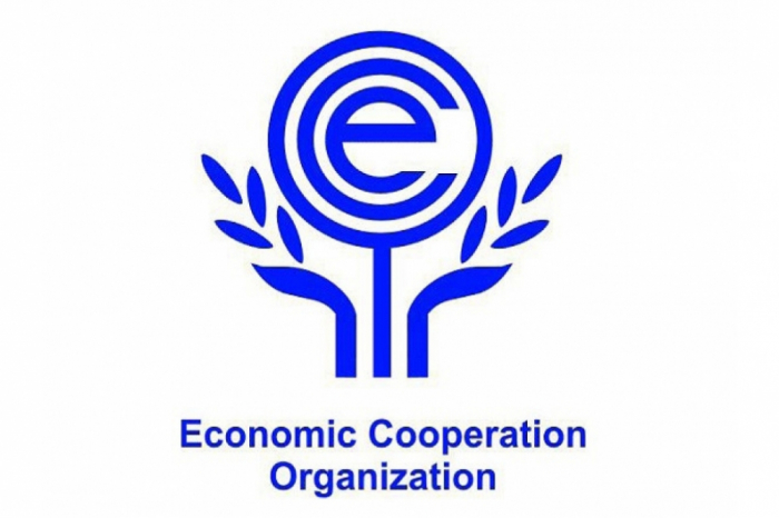 Azerbaijani MP to attend meeting of ECO Parliamentary Assembly