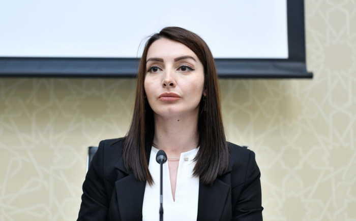     Leyla Abdullayeva:   "Wir reagieren auf die meisten Aussagen des armenischen Außenministeriums"  