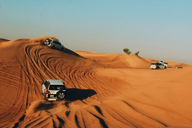   How Dubai is pushing back its encroaching deserts -   iWONDER    