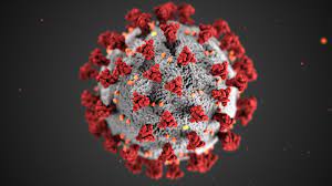Covid: dos decisivos avances en las próximas vacunas para intentar poner fin a la pandemia