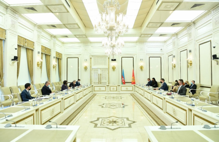   Montenegro expresses intention to broaden its cooperation with Azerbaijan  