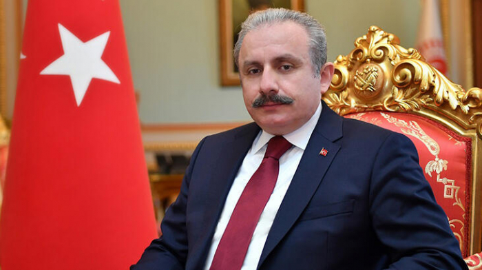 Turkish Parliament speaker pays tribute to memory of martyrs of January 20 tragedy