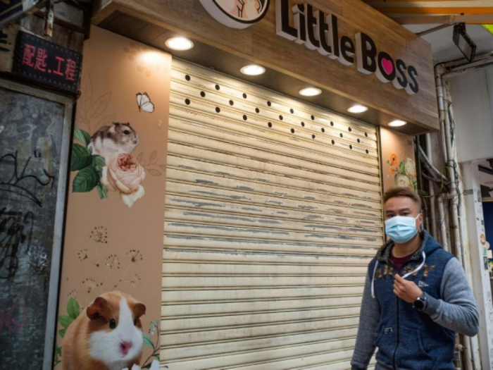 Coronavirus : Après un cas dans une animalerie, Hong Kong va tuer 2 000 hamsters