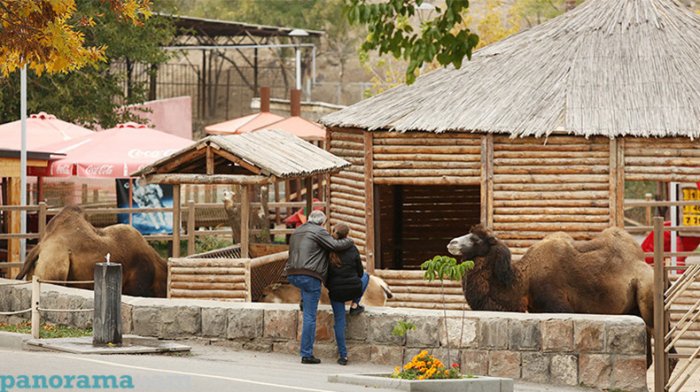 İrəvan zooparkında heyvanlar baxımsızlıqdan qırılırlar